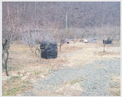  2025Ÿ��297 ��� û���� �̼��� ���̸� 234      ����(��)���