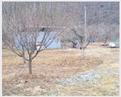  2025Ÿ��297 ��� û���� �̼��� ���̸� 234      ����(��)���