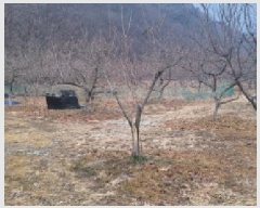  2025Ÿ��297 ��� û���� �̼��� ���̸� 234      ����(��)���