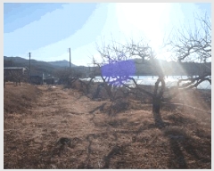  2025Ÿ327  õ Ͼȸ  463      ()