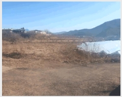  2025Ÿ327  õ Ͼȸ  463      ()