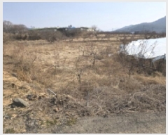  2025Ÿ327  õ Ͼȸ  463      ()