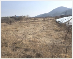  2025Ÿ327  õ Ͼȸ  463      ()