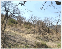  2025Ÿ709  û û ξ߸ 1295-1      (1)