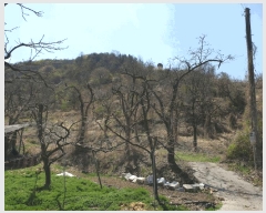  2025Ÿ709  û û ξ߸ 1295-1      (1)