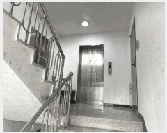  2025Ÿ765  õ ȣ 븮 189-10 ٺġ 5501ȣ    ټ,