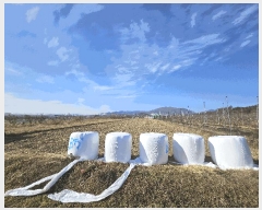  2025Ÿ��952 ��� ���� ���̸� ��ϸ� 1038      ����(��)���