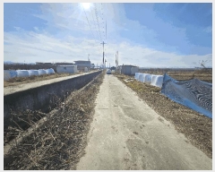  2025Ÿ��952 ��� ���� ���̸� ��ϸ� 1038      ����(��)���