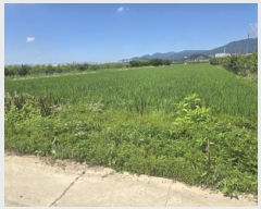  2025Ÿ��952 ��� ���� ���̸� ��ϸ� 1038      ����(��)���