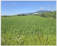  2025Ÿ��952 ��� ���� ���̸� ��ϸ� 1038      ����(��)���