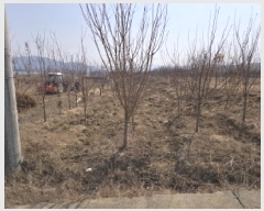  2025Ÿ��6738  ����