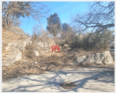  2025Ÿ7341 뱸 ϱ  1095       ()