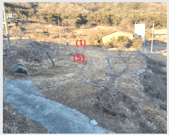  2025Ÿ7341 뱸 ϱ  1095       ()