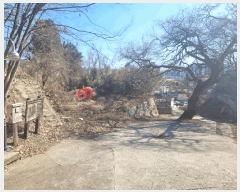  2025Ÿ7341 뱸 ϱ  1095       ()