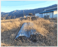  2025Ÿ7341 뱸 ϱ  1095       ()