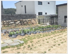  2025Ÿ��7352  ���ð��