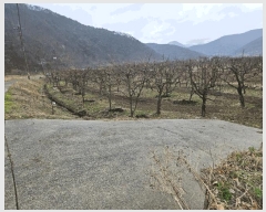  2025Ÿ7493  û   766      ()