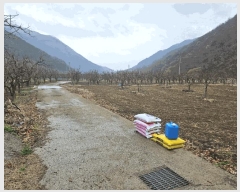  2025Ÿ7493  û   766      ()