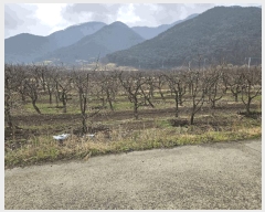  2025Ÿ7493  û   766      ()