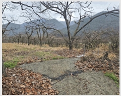  2025Ÿ7493  û   766      ()