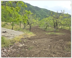  2025Ÿ7493  û   766      ()