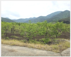  2025Ÿ7493  û   766      ()