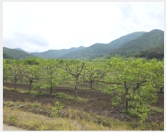  2025Ÿ7493  û   766      ()