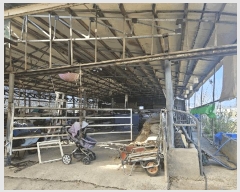  2025Ÿ��7757  ���(�󰡽ü�)���