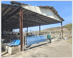  2025Ÿ��7757  ���(�󰡽ü�)���