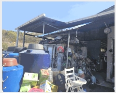  2025Ÿ��7757  ���(�󰡽ü�)���