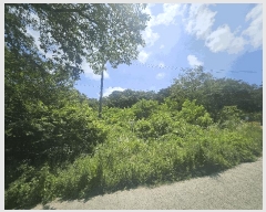  2025Ÿ7801 뱸   1100       ð