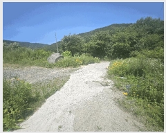  2025Ÿ7801 뱸   1100       ð