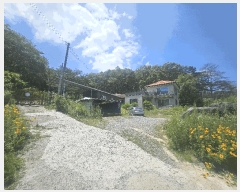  2025Ÿ7801 뱸   1100       ð