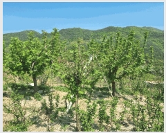  2025Ÿ7878  û  ϸ 415      (1)