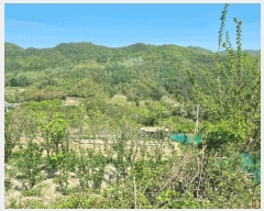  2025Ÿ7878  û  ϸ 415      (1)