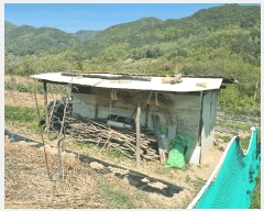  2025Ÿ7878  û  ϸ 415      (1)