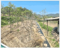  2025Ÿ7878  û  ϸ 415      (1)