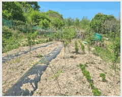  2025Ÿ7878  û  ϸ 415      (1)