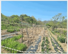  2025Ÿ7878  û  ϸ 415      (1)