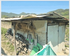  2025Ÿ7878  û  ϸ 415      (1)