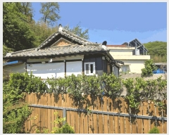  2025Ÿ7900   θ 縮 268      ð