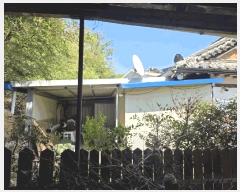  2025Ÿ7900   θ 縮 268      ð