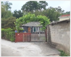  2025Ÿ7900   θ 縮 268      ð