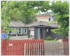  2025Ÿ7900   θ 縮 268      ð