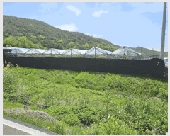  2025Ÿ7966  õ ȭ װ 431      ()