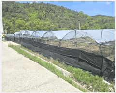  2025Ÿ7966  õ ȭ װ 431      ()