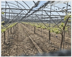  2025Ÿ7966  õ ȭ װ 431      ()