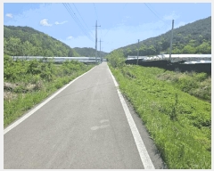  2025Ÿ7966  õ ȭ װ 431      ()