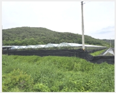  2025Ÿ7966  õ ȭ װ 431      ()