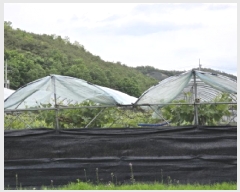  2025Ÿ7966  õ ȭ װ 431      ()